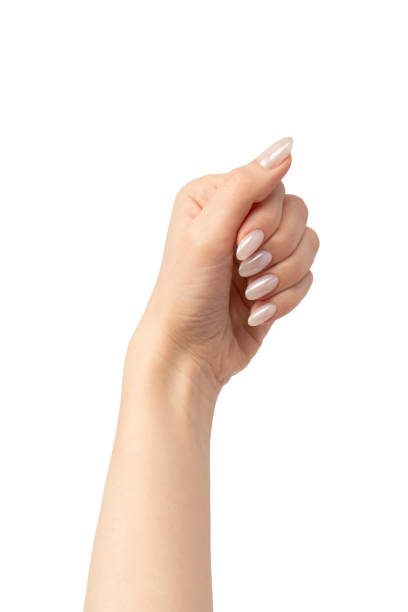 istock Woman hands  isolated on a white background. 2153693269