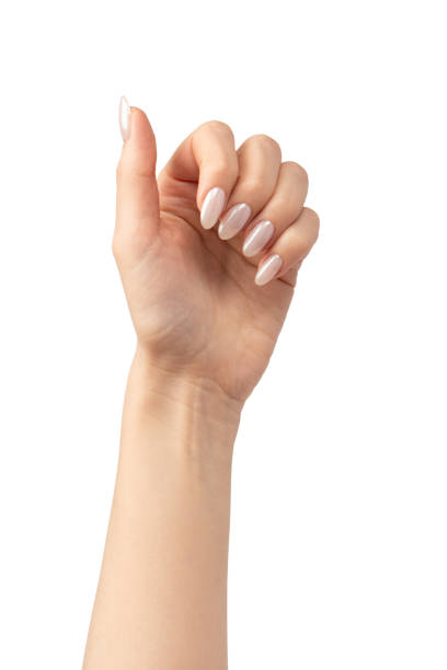 istock Woman hands  isolated on a white background. 2153693277