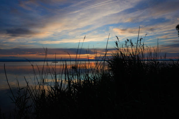 A fantastic and warm sunset with clear skies and beautiful colors in the Albufera of Valencia, Spain.