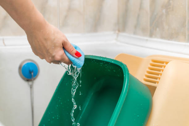istock woman washing cat litter box in bathroom. 2153699140