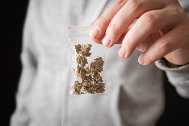 istock Zipper bag with marijuana. Man with illegal drugs 2153699932