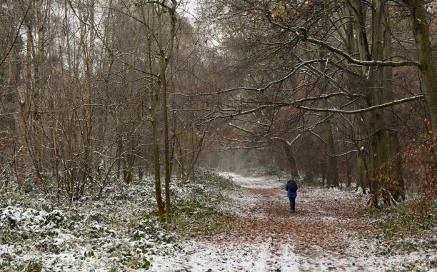 istock Lone winter woodland walk 2153702237