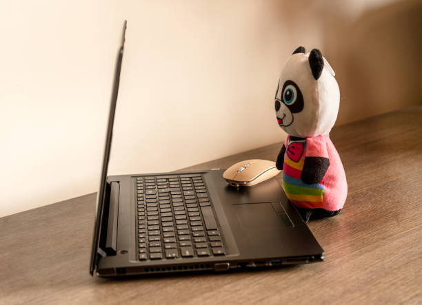 istock a cute puppet depicting a dressed panda in front of an open laptop computer, 2153704605