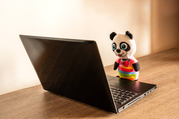 a cute puppet depicting a dressed panda in front of an open laptop computer, staring attentively and smiling at the screen