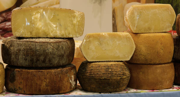cheese counter at the cheese factory with pecorino or typical Italian aged cheese Well-stocked cheese counter at the cheese factory with pecorino cheese or typical Italian aged cheese pecorino romano stock pictures, royalty-free photos & images