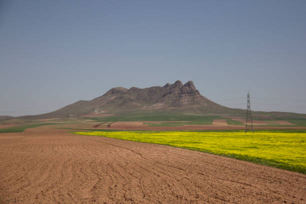 nature of iran in may