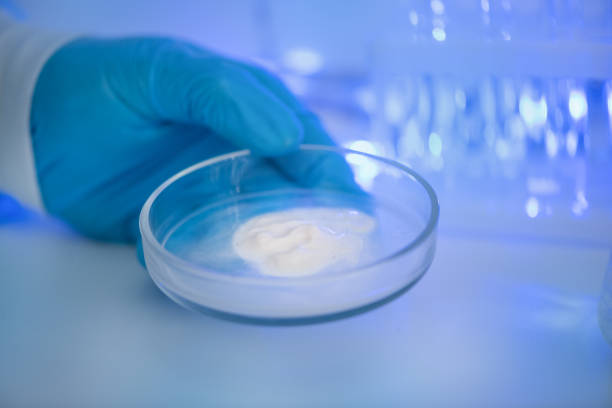 istock Scientist in laboratory analyzing substance in beaker, conducting medical research for pharmaceutical discovery, biotechnology development in healthcare, science and chemistry concept, Lab Experiment 2153708400