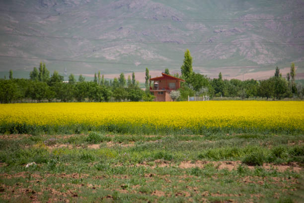 nature of iran in may