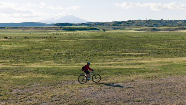 Man cycling in the countryside at sunset