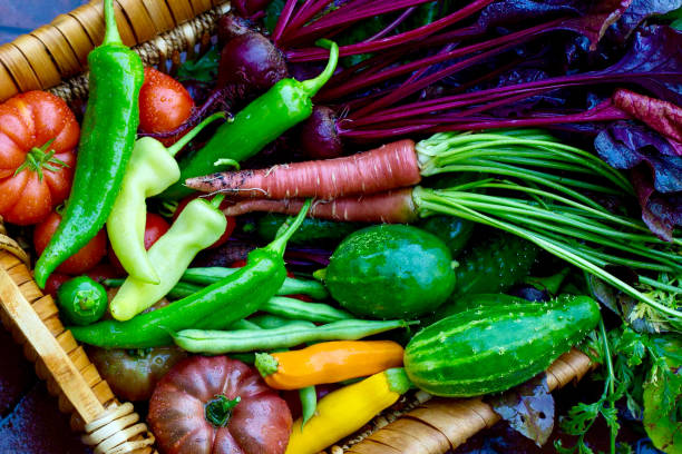 Tomatoes carrots peppers cucumber beans
