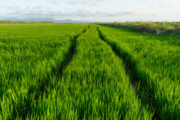 istock Landscapes of spain 2153717220