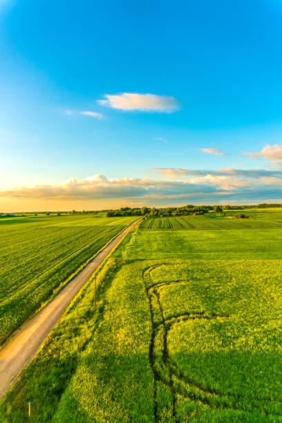 istock Landscape aerial view from hot air balloon 2153717907