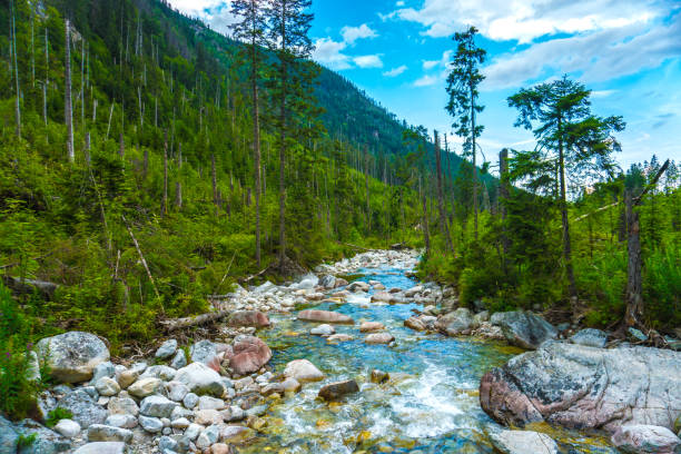 Crossing Mountain Stream in the Tatra Mountains, Poland