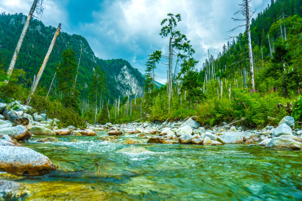 Crossing Mountain Stream in the Tatra Mountains, Poland