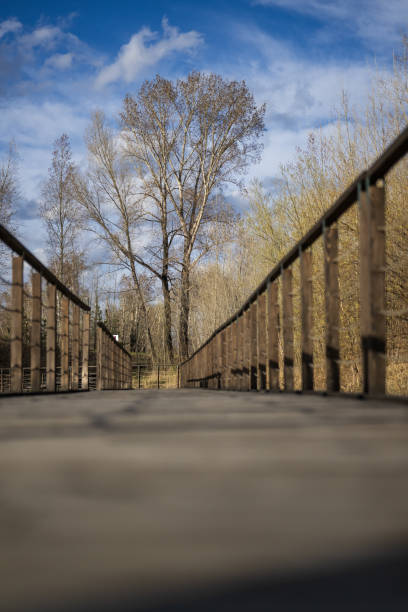 Wooden bridge in the park