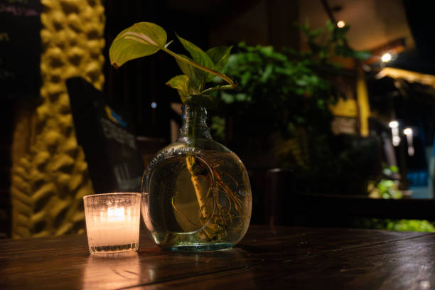 Candlelit ambiance with plant on a wooden restaurant table