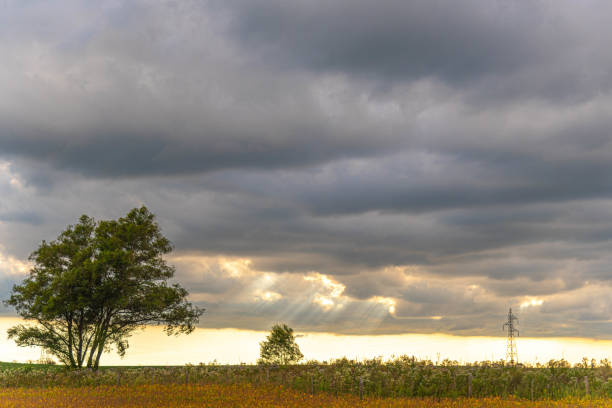 istock Rain clouds over crop fields in southern Brazil 2153729928
