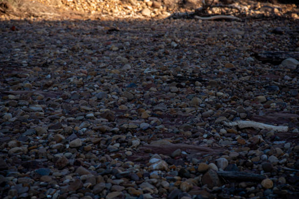 Stones rolled from the river after flooding and torrential rain.