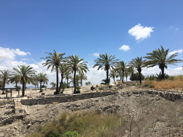 istock Tel Megiddo National Park in May in Israel. 2153732483
