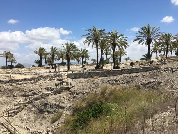 istock Tel Megiddo National Park in May in Israel. 2153732484