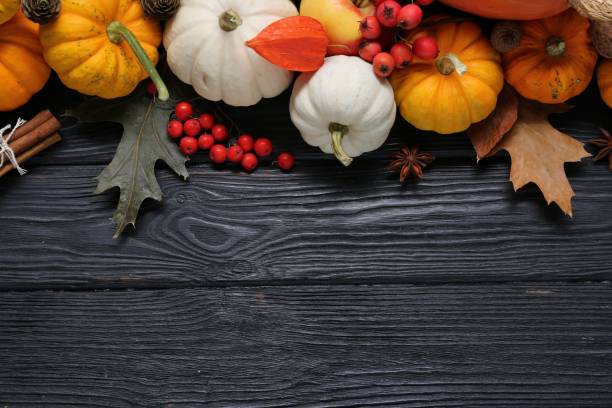 istock Thanksgiving day. Flat lay composition with pumpkins on black wooden table, space for text 2153733131