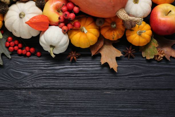 istock Thanksgiving day. Flat lay composition with pumpkins on black wooden table, space for text 2153733190