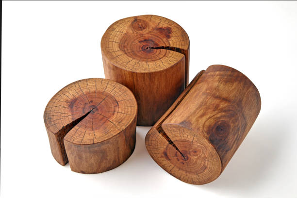 istock Tree cuts with knots and cracks isolated on a white background. Pedestal for the presentation and sale of natural products 2153733200