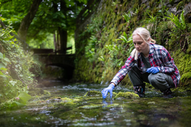 istock A research scientist collects water samples in a river 2153744966