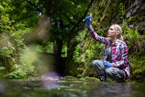 istock A research scientist collects water samples in a river 2153744983