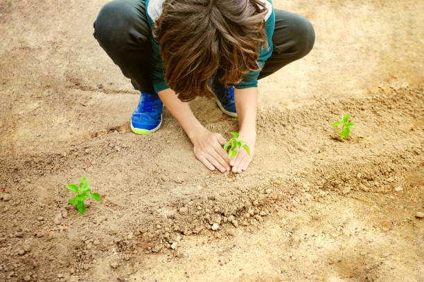A young boy is planting a seedling in the dirt. Concept of hope and growth, as the boy is nurturing a new life