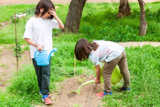 istock Two children are watering plants in a garden 2153746596