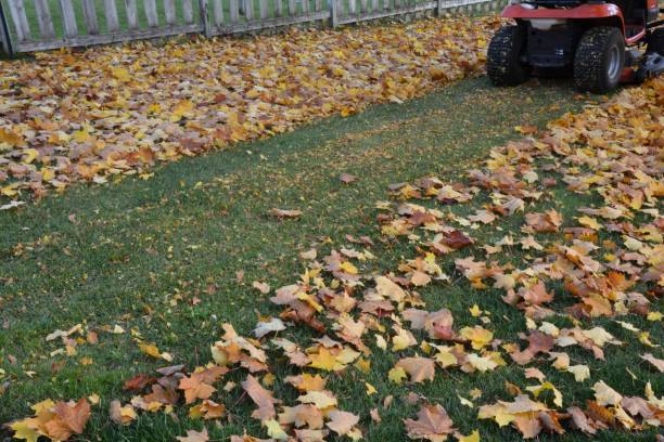 istock Lawn tractor mulches leaves into the lawn. 2153752517