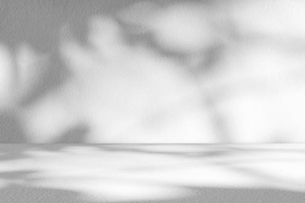 istock Wall interior background, studio and backdrops show products.with shadow from window color white . background for text insertion and presentation product 2153757651
