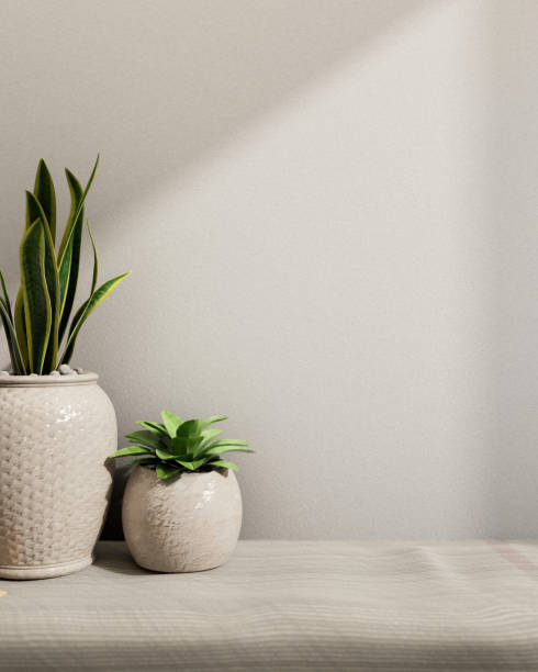 istock Minimalist ceramic potted plants on a table against a white wall with daylight shadows. 2153758675