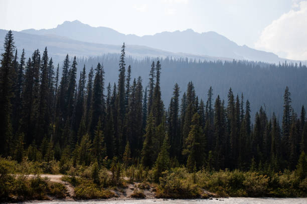 istock Canadian Rockies, Banff National Park, Canada. 2153758895