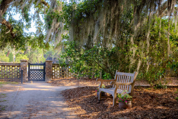 istock Charleston, South Carolina 2153761241