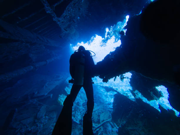 man diving into the caribean sea surrounded by fish looking at camera