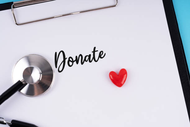 istock Stethoscope and heart shape with text Donate on clipboard 2153764658