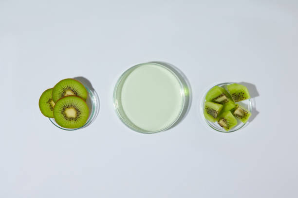 Flat lay petri dish in different sizes on white countertop, a petri dish in center is empty next to a dish of kiwi pieces and kiwi slices. Blank space for displaying product extracted from kiwi
