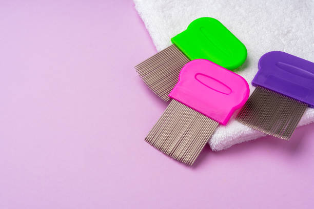 istock Three combs for removing lice and nits on lilac background 2153770081