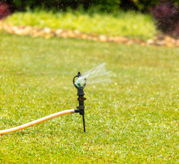 istock Watering a green lawn with a hose 2153772214