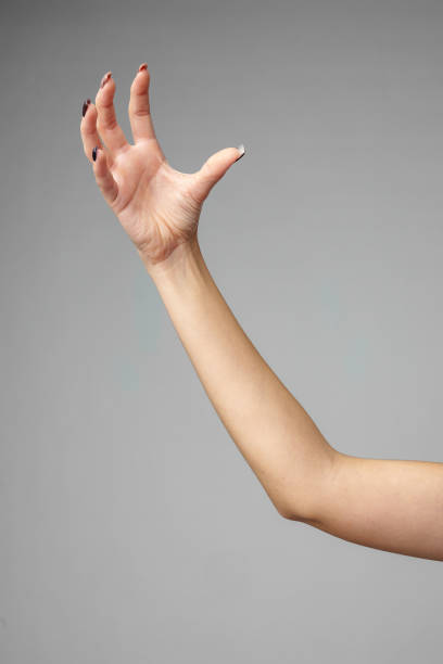 istock Outstretched Bare Arm With a Relaxed Hand Against a Gray Background 2153772283