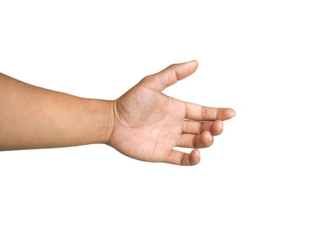 istock Men's hands making gestures like  is holding something  such as a phone or a water bottle  Isolated on white background. 2153772994