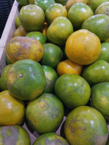 istock Close up of fresh orange fruit 2153774717