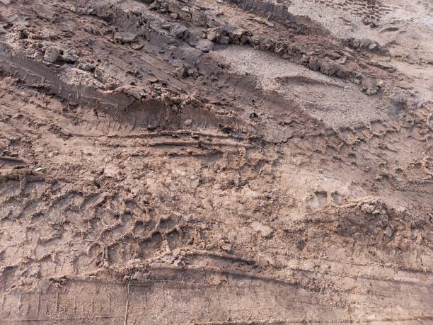 istock Wheel tracks on the soil road background or texture 2153774727