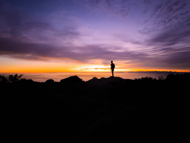 Trail runner hiker silhouette dawn sunrise look at Maclears Beacon Table Mountain summit, Cape Town, South Africa