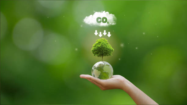 istock Hand holding green globe with map and have CO2 white cloud on top. Reduce CO2 emissions to limit climate change and global warming. Clean and friendly environment. World sustainable environment. 2153777202