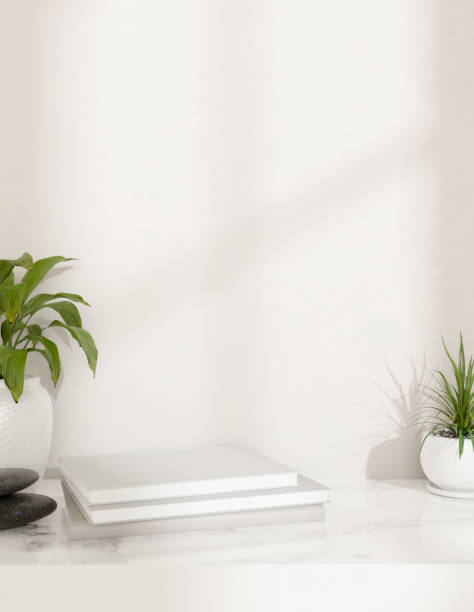 istock A showcasing space on a stack of books on a white tabletop featuring stones and potted plants. 2153781172