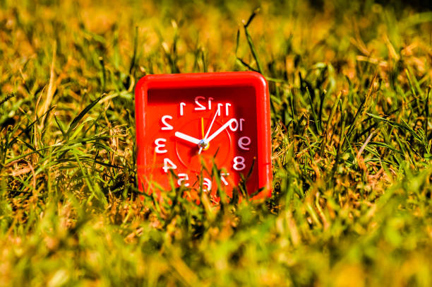 A red clock with the numbers 1 to 12 on it is sitting on the grass. The clock is set to the time of 10:10