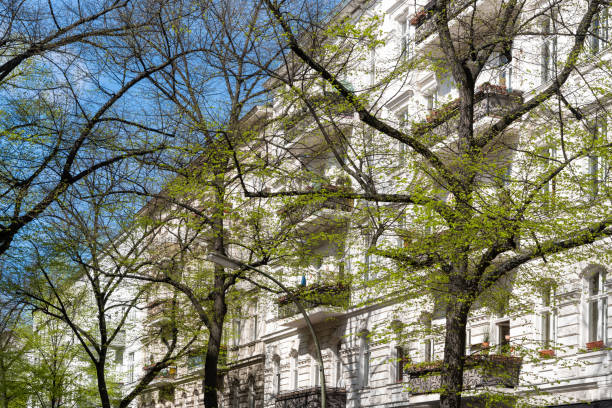 Germany, Berlin,  Schöneberg, April 06, 2024 -Trees at springtime in front of residential buildings